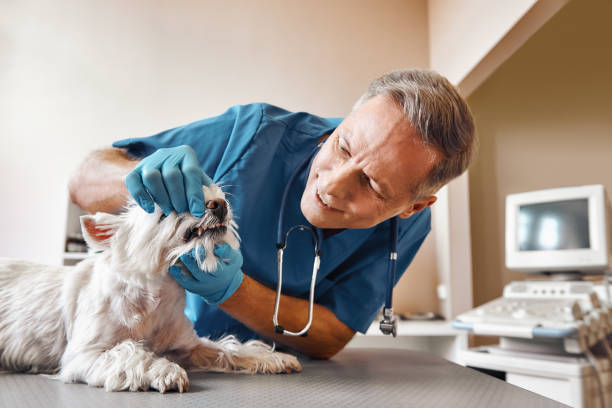 Best Emergency Dental Surgery in Woodbranch, TX